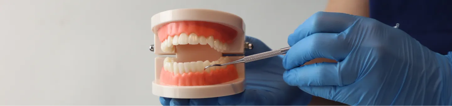 Dental Services in Dallas, TX - R. David Brumbaugh, DDS