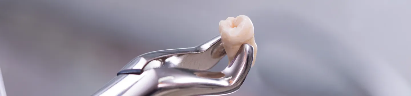 About Our Dallas Dental Practice - R. David Brumbaugh, DDS